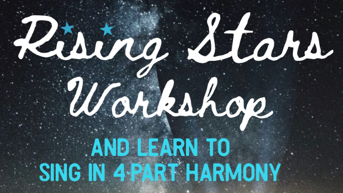 VDC Rising Star workshop